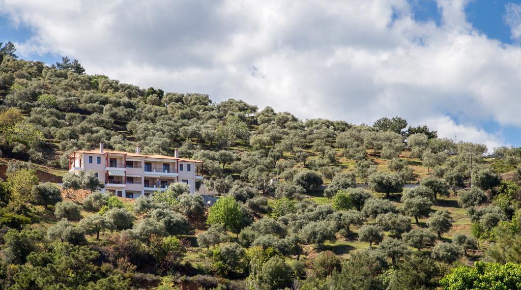 Aphrodite Villas Koinira Buitenkant foto